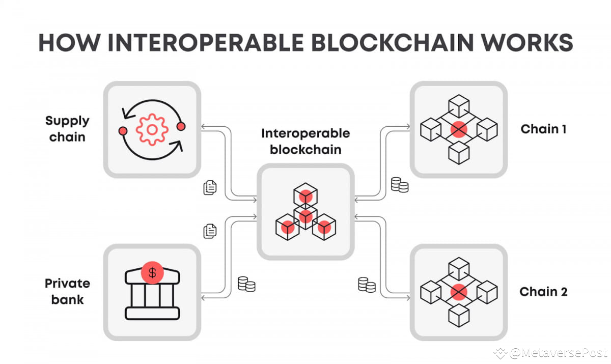 cross-chain usability